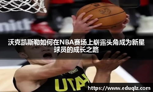星座娱乐官网